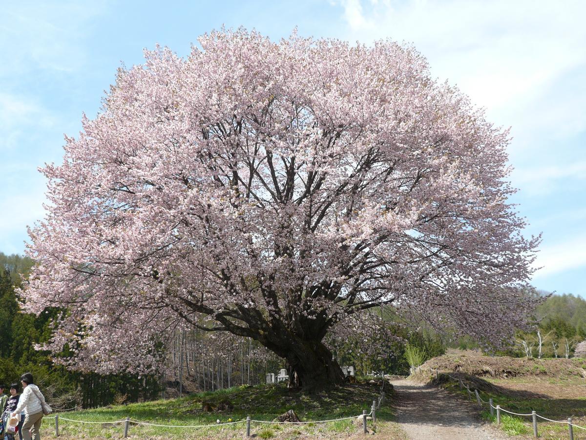 Pension La Palette Katashina Esterno foto